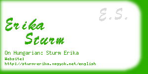 erika sturm business card